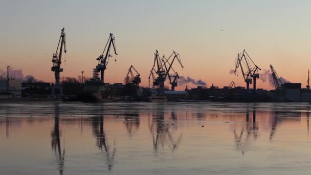 Silhouettes of of portal cranes on the horizon — Stock Video