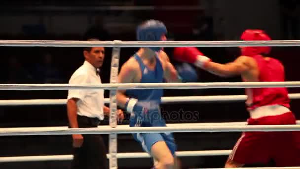 Boxe arbitre croit knockdown avec le son — Video