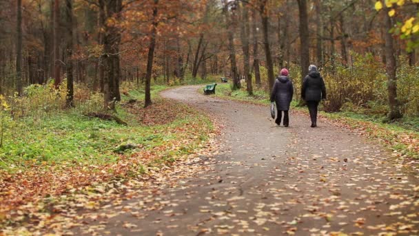 Pensionärer som promenader ungdom jogging — Stockvideo