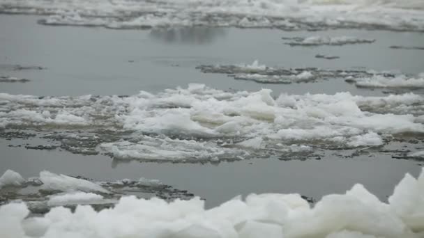 Floe caméra flottante en mouvement — Video