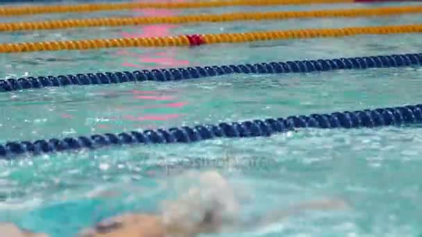 Nadar en la piscina freestyle — Vídeos de Stock