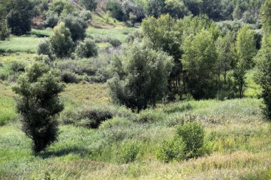  Nehir yatağı shoaled