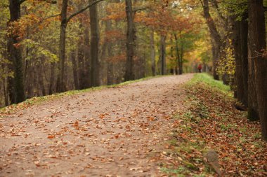  patika perspektif uzakta