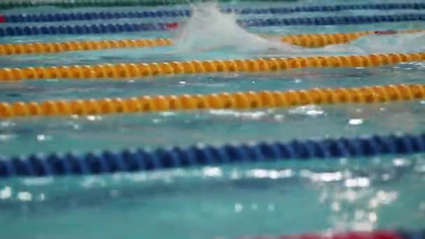Athlète nageur masculin nageant dans la piscine brasse — Video