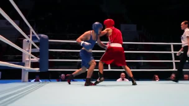 Match de boxe près de — Video