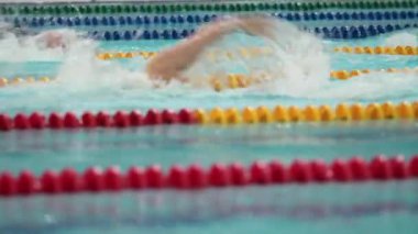 Spor yüzme Yarışması 