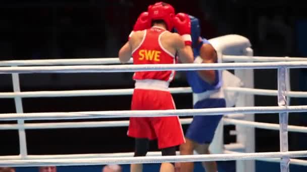 Jogo de boxe Suécia Dominica — Vídeo de Stock