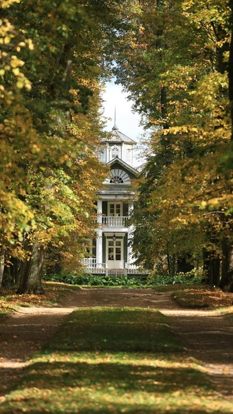 Затінена доріжка до будинку восени — стокове фото