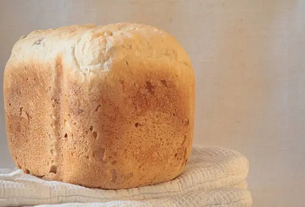 Pan de trigo fresco — Foto de Stock