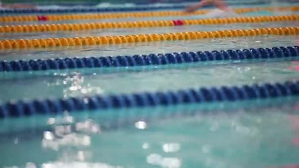 Sport úszás alacsony, szög, kilátás — Stock videók
