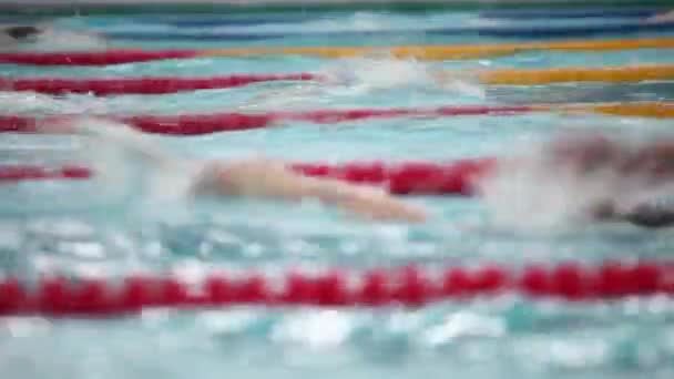 Deporte natación seguimiento tiro cerca de — Vídeos de Stock