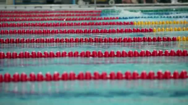 Спорт плавание близко к боковой вид на низкий угол — стоковое видео