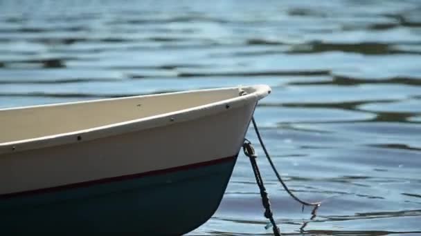 Barca a remi ormeggiata primo piano — Video Stock