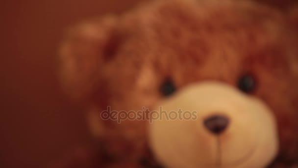 Portrait brown teddy bear rack focus — Stock Video