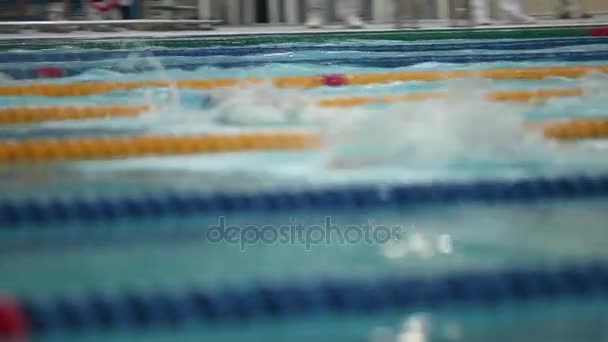 Deporte natación momento tenso de la competencia seguimiento disparo — Vídeos de Stock