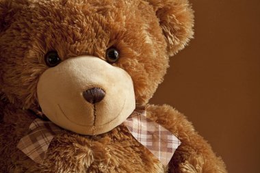 Kind friend plush teddy bear clipart