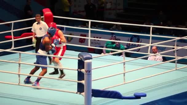 Saldırı boks maçı — Stok video