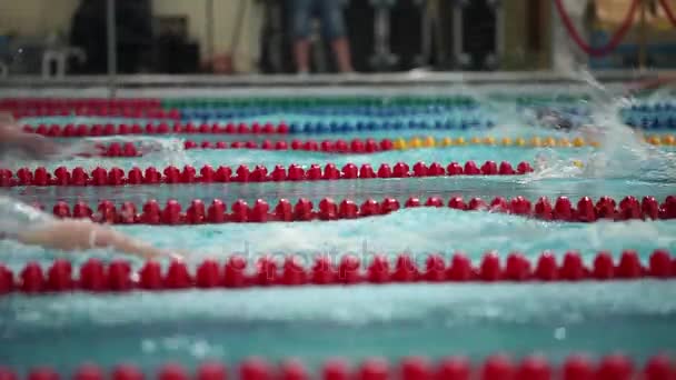 水泳フリー スタイル女子競技 — ストック動画