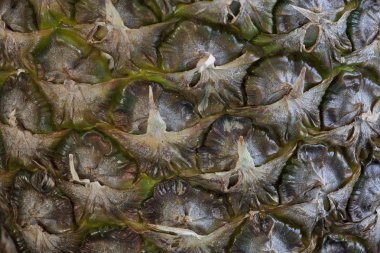 Ananas cilt soyut dokulu arka plan 