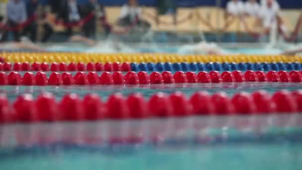 Estilo de competição de natação de borboleta masculina Visão de baixo ângulo ao lado — Vídeo de Stock