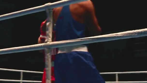 Lutar boxe nas cordas — Vídeo de Stock
