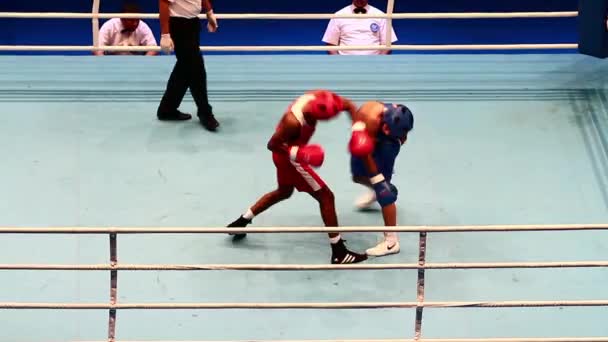 Combate de boxeo RED - Ashish, India; BLUE- Margarian S. Rusia — Vídeos de Stock