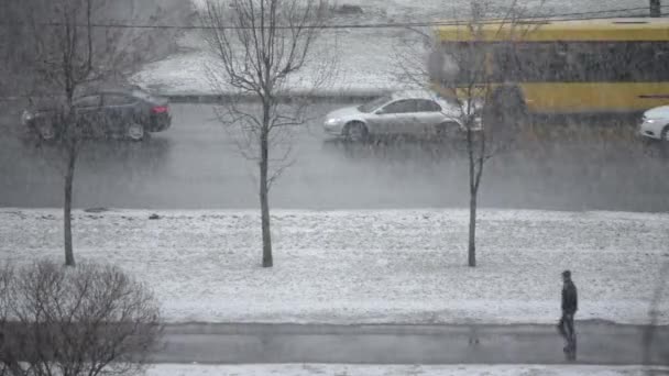 Zimą opady śniegu, samochody powoli jazdy wzdłuż drogi — Wideo stockowe