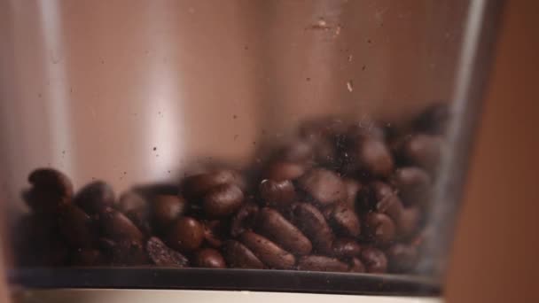 Koffie bonen koffie grinder — Stockvideo