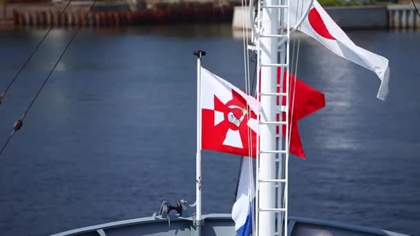 Bandera de Polonia Navy — Vídeo de stock