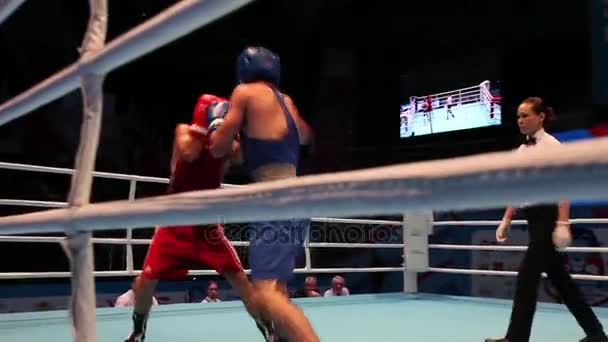 Boksen Championship mannen Boxing match — Stockvideo