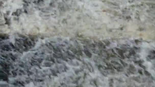 Водоспад бушує потік — стокове відео