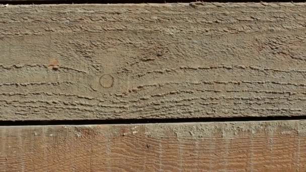 Painéis de pinho textura de madeira — Vídeo de Stock