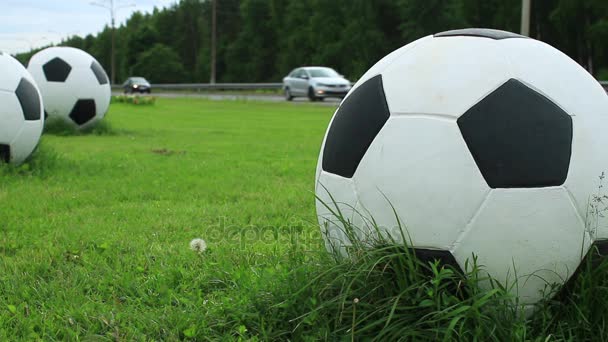 Enormes pelotas de fútbol en el campo verde por el camino — Vídeo de stock