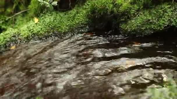 Snelle bergbeek tussen rotsen met mos begroeid — Stockvideo