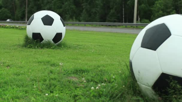 Futball-labdák, a zöld pázsit út közelében — Stock videók