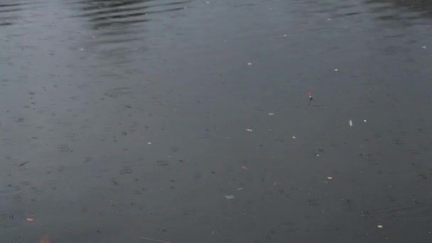 capture de poissons mornes 