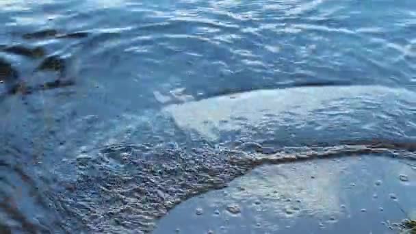 Vagues bleues sur fond de sable bleu — Video