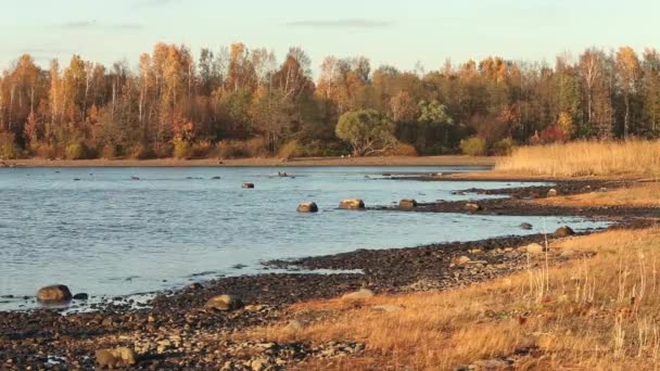 Brzeg jeziora jest malowniczy krajobraz jesienny — Wideo stockowe