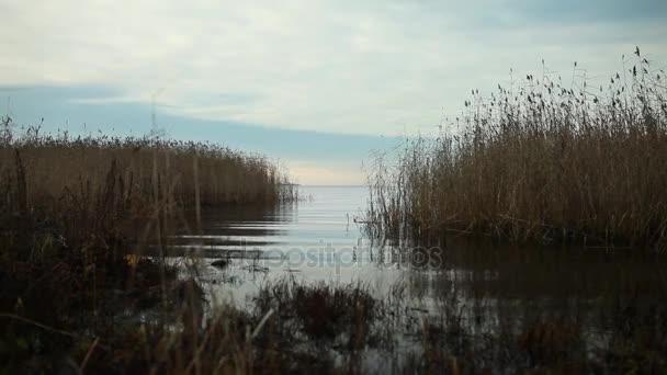 soirée calme sur un beau lac 