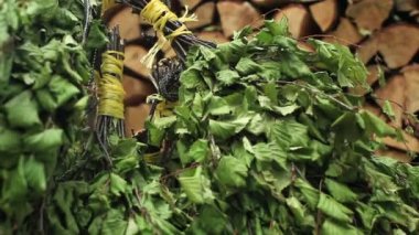 Huş süpürge bir banyo için