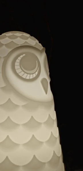 Gece beyaz baykuş, gece beyaz baykuş lamba lamba siyah arka plan, bilgeliğin sembolü — Stok fotoğraf