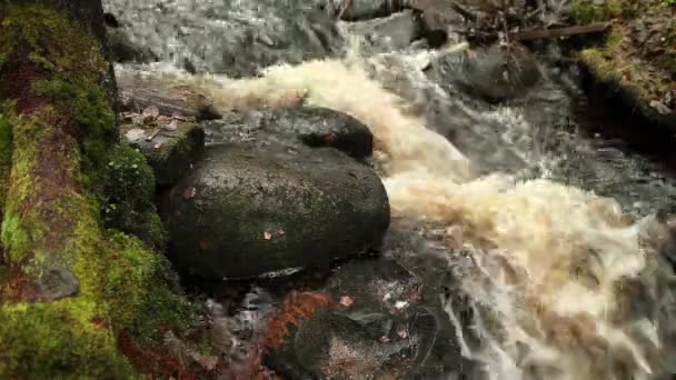 Wasserfall Wasserfluss Wird Über Steine Mit Schall Unterbrochen — Stockvideo
