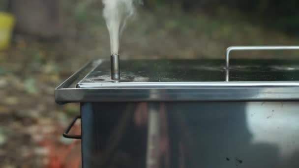 Fumée Chaude Sur Feu Fumée Fumoir Poisson Cuisine Traditionnelle Fumée — Video