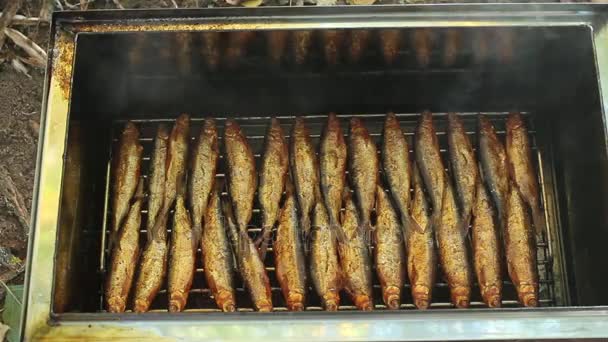 Копчена Риба Відкрита Традиційна Риба Приготування Їжі Вільха Дим — стокове відео