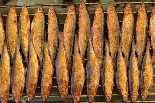 Smoked whitefish on grill — Stock Photo, Image