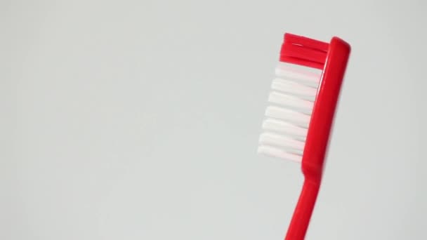 Rode Tandenborstel Hoofd Borstels Tegen Witte Achtergrond — Stockvideo