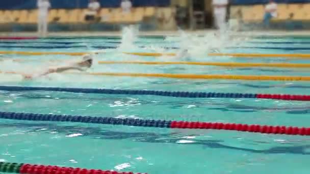 Saint Pétersbourg Russie Décembre 2017 Compétition Internationale Natation Vladimir Salnikov — Video