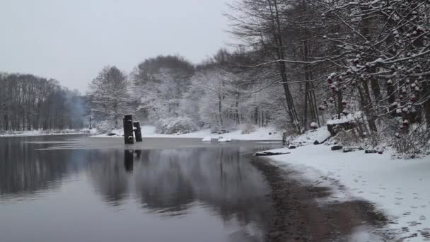 Beautiful Winter Landscape Snow Covered White Trees Reflected River — Stock Video