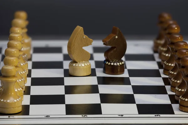 Kopf-an-Kopf-Rennen der Schachritter — Stockfoto