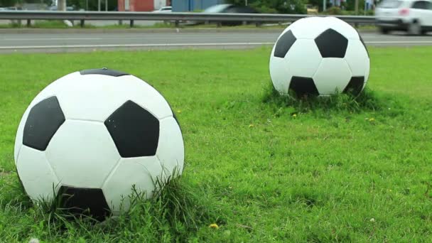 Pelotas Fútbol Por Carretera Césped Verde — Vídeo de stock